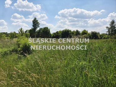 Działka budowlana na sprzedaż Dąbrowa Górnicza, Zielona, Wiejska 21 319m2 Foto 5