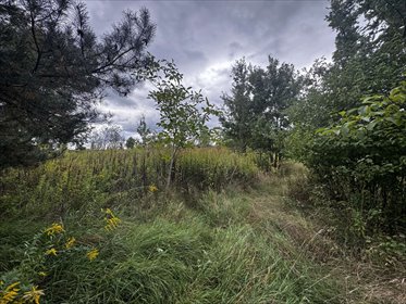 działka na sprzedaż 2400m2 działka Parcela-Obory, Parcela-Obory