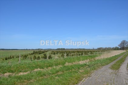 działka na sprzedaż 104607m2 działka Smołdzino