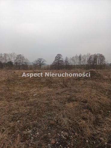 Działka budowlana na sprzedaż Żory, Baranowice 6 569m2 Foto 4