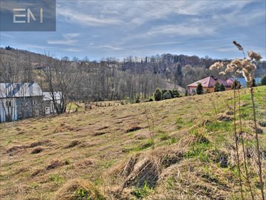 działka na sprzedaż 2500m2 działka Wesoła