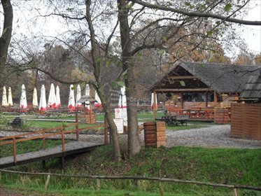 Działka rolna na sprzedaż Mikołów, Kąty, Kąty 3 260m2 Foto 7