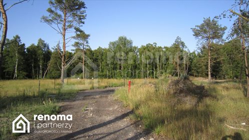 działka na sprzedaż 660m2 działka Dziwnówek