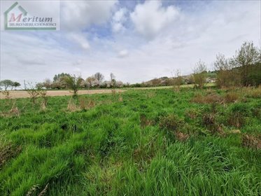 działka na sprzedaż 6400m2 działka Korczyna