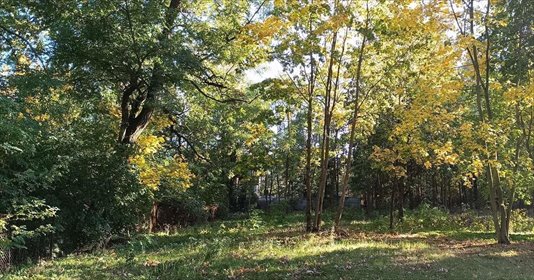 Na sprzedaż działka 2229 m² z lasem i planem pod dom w Łowickiem działka Dzierzgówek