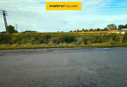 Do sprzedania działka 2400 m² pod dom w Kowalowicach działka Kowalowice