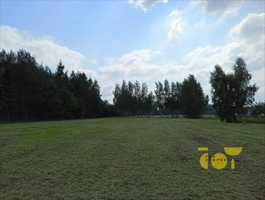 Działka budowlana na sprzedaż Słomczyn, Wilanowska 3 058m2 Foto 5