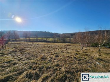 działka na sprzedaż 1856m2 działka Berezka