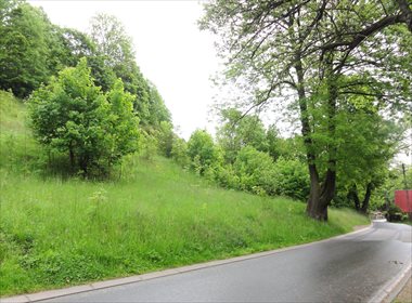 działka na sprzedaż 3497m2 działka Rościszów