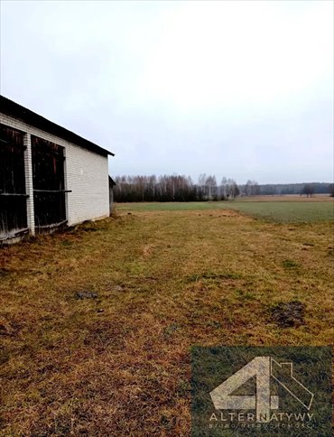 Działka rolna na sprzedaż Włodzimierz, Włodzimierz 11 90 000m2 Foto 2