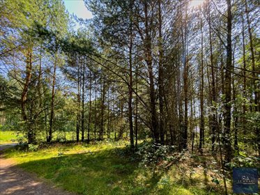 Działka 1173 m² w Skórce - cisza i spokój, zapraszam działka Skórka