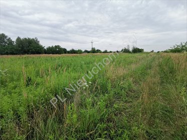 działka na sprzedaż 1000m2 działka Michałowice-Wieś