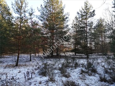 działka na sprzedaż 6355m2 działka Owczarnia