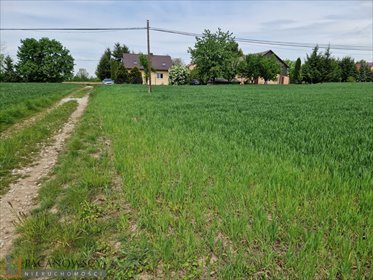 działka na sprzedaż 1200m2 działka Sieciechowice