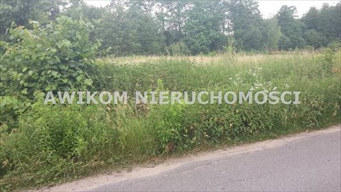 Do sprzedania słoneczna działka 2100 m² w Adamów-Wieś działka Radziejowice, Adamów-Wieś