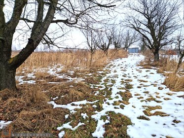 działka na sprzedaż 3767m2 działka Narama