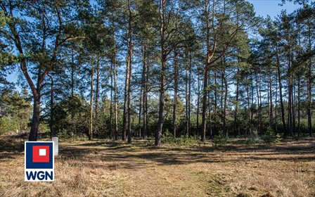 działka na sprzedaż 1636m2 działka Przejęsław, Centrum
