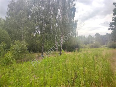 Działka leśno-budowlana 3 210 m² w Budy Michałowskie zapraszam działka Budy Michałowskie