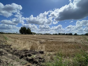 działka na sprzedaż 4180m2 działka Kalisz, Rajsków