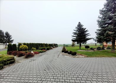 Lokal użytkowy na sprzedaż Derewiczna, Derewiczna 75 316m2 Foto 7