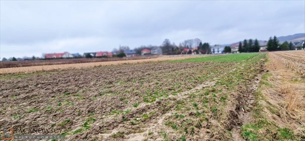 Na sprzedaż działka zagrodowa 19,97a z mediami w Bębło działka Bębło