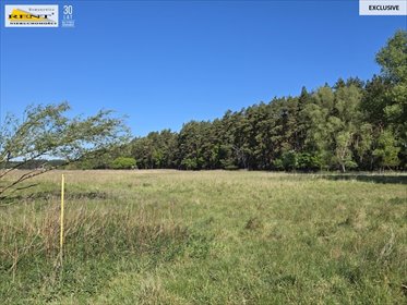 Działka 7600 m² z potencjałem, blisko lasu i autostrady polecam działka Szczecin