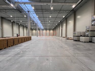 lokal użytkowy na wynajem 500m2 lokal użytkowy Domasław