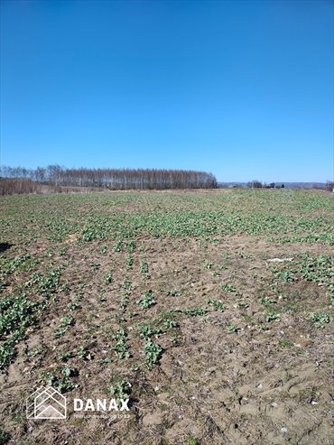 Unikalna działka pod zabudowę mieszkaniową 20 395 m2 działka Kryspinów