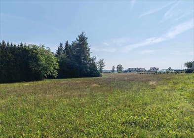 działka na sprzedaż 1931m2 działka Mikołów, Paniowy, Przelotowa