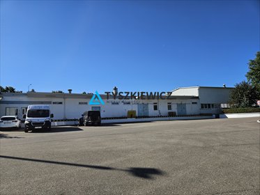 magazyn na wynajem 300m2 magazyn Pruszcz Gdański, Zastawna