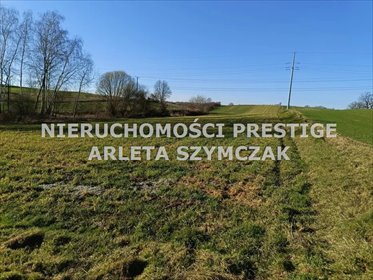 Działka 1782 m² z mediami i utwardzonym dojazdem działka Jastrzębie-Zdrój, Bzie Górne