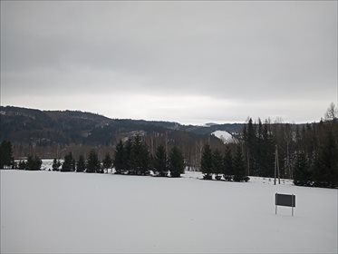 Działka rolna na sprzedaż Stary Gierałtów, Stronie Śląskie 30 300m2 Foto 4