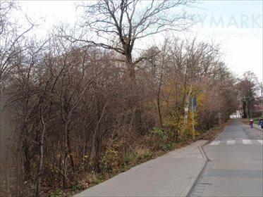 Działka inwestycyjna na sprzedaż Warszawa, Białołęka, Wiśniewo 87 000m2 Foto 4