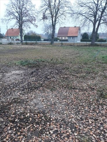 Działka inna pod dzierżawę Lipiany, PYRZYCKA 800m2 Foto 5