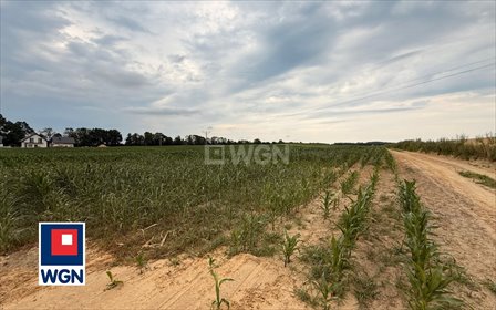działka na sprzedaż 1000m2 działka Zawonia, Zawonia, Tarnowiec