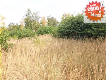 działka na sprzedaż 895m2 działka Kołobrzeg