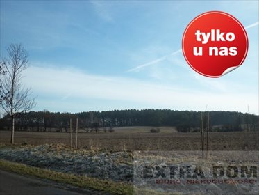 Dom na sprzedaż Sulęcin 690 000m2 Foto 7