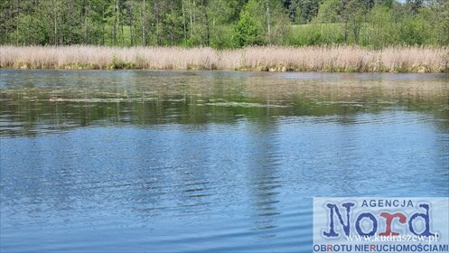 działka na sprzedaż 20458m2 działka Giby