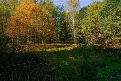 działka na sprzedaż 1300m2 działka Puszcza Mariańska, Akacjowa