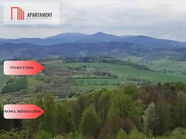 Działki Rogówek z widokiem na Sudety - polecam działka Rogówek