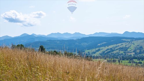 działka na sprzedaż 6563m2 działka Dzianisz