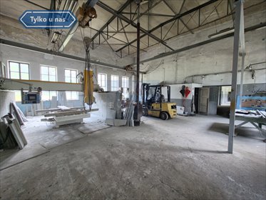działka na sprzedaż 8200m2 działka Lipicze, Stawowa