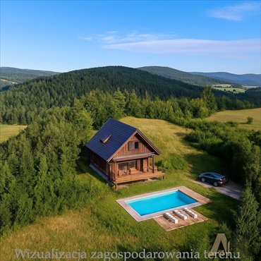 działka na sprzedaż 12800m2 działka Piorunka