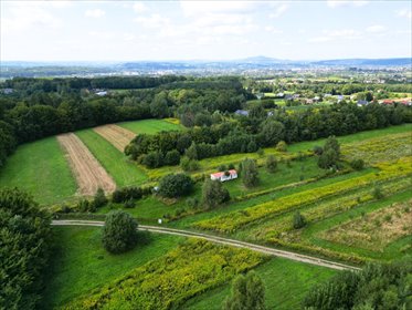 Działka 34a z projektem domu i domkiem kanadyjskim - polecam! działka Łaski