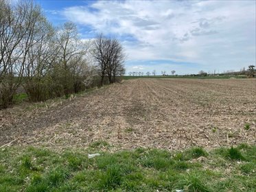Na sprzedaż działka budowlana 11 arów przy drodze asfaltowej działka Drzemlikowice, Drzemlikowice
