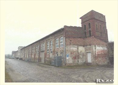 Magazyn na wynajem Niemcy, Locknitz, Locknitz 3 800m2 Foto 4