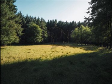 działka na sprzedaż 1100m2 działka Mariampol