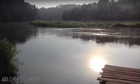 Lokal użytkowy na sprzedaż Biała 500m2 Foto 5