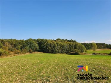 działka na sprzedaż 1565m2 działka Drągowina