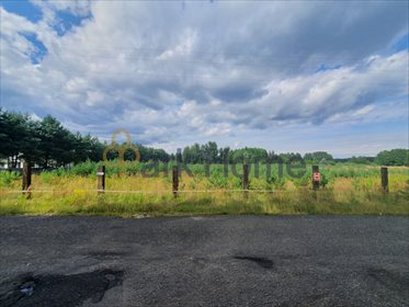 Działka budowlana na sprzedaż Borek 1 438m2 Foto 2